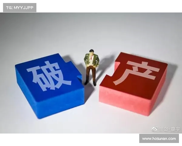 破产清算再升级:投资者血本无归,揭示更深层次的金融风险(破产清算意味着什么) 破产清算再升级:投资者血本无归,揭示更深层次的金融风险(破产清算意味着什么)